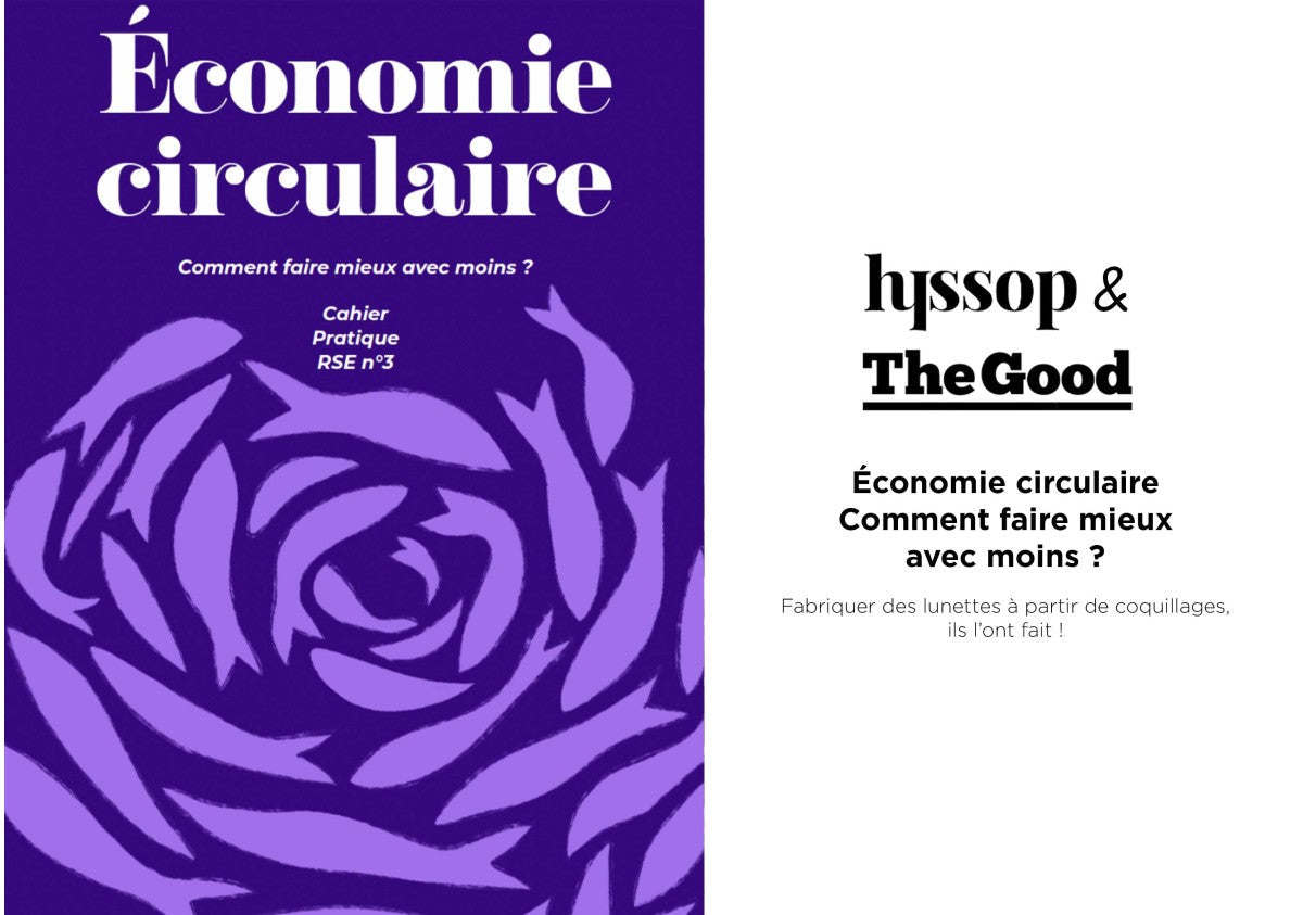 Friendly Frenchy - Comment faire mieux avec moins ? Cahier RSE pratique n°3 - Hyssop & The Good